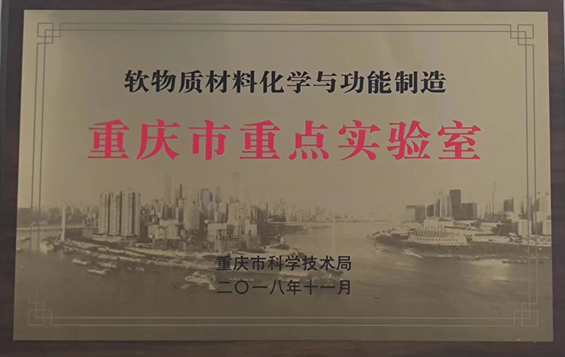 2018年11月重慶市重點實驗室.jpg